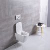 iria-wc-kagylo-sc6